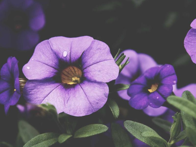 sudoku rating system screenshot 1